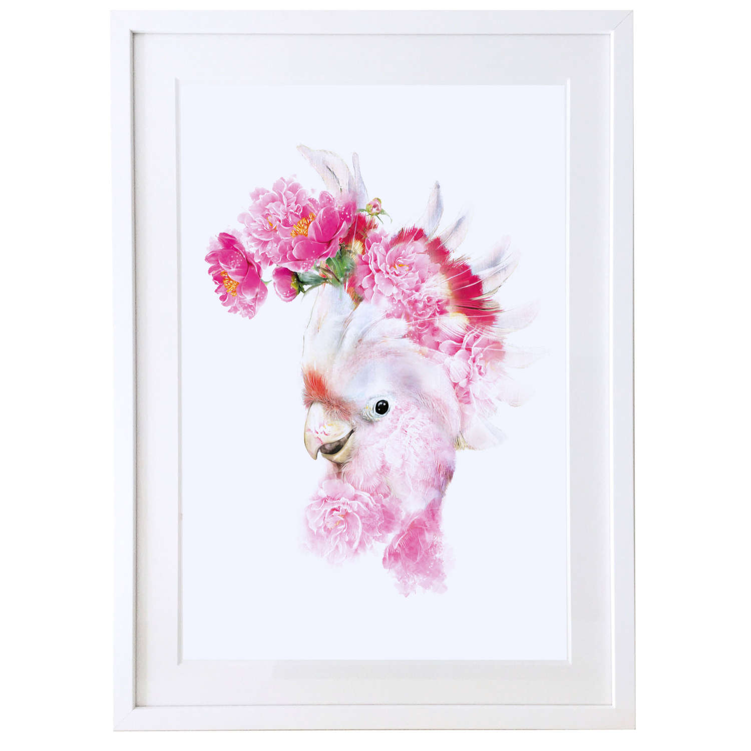 Pink cockatoo print with white satin finish solid wood frame
