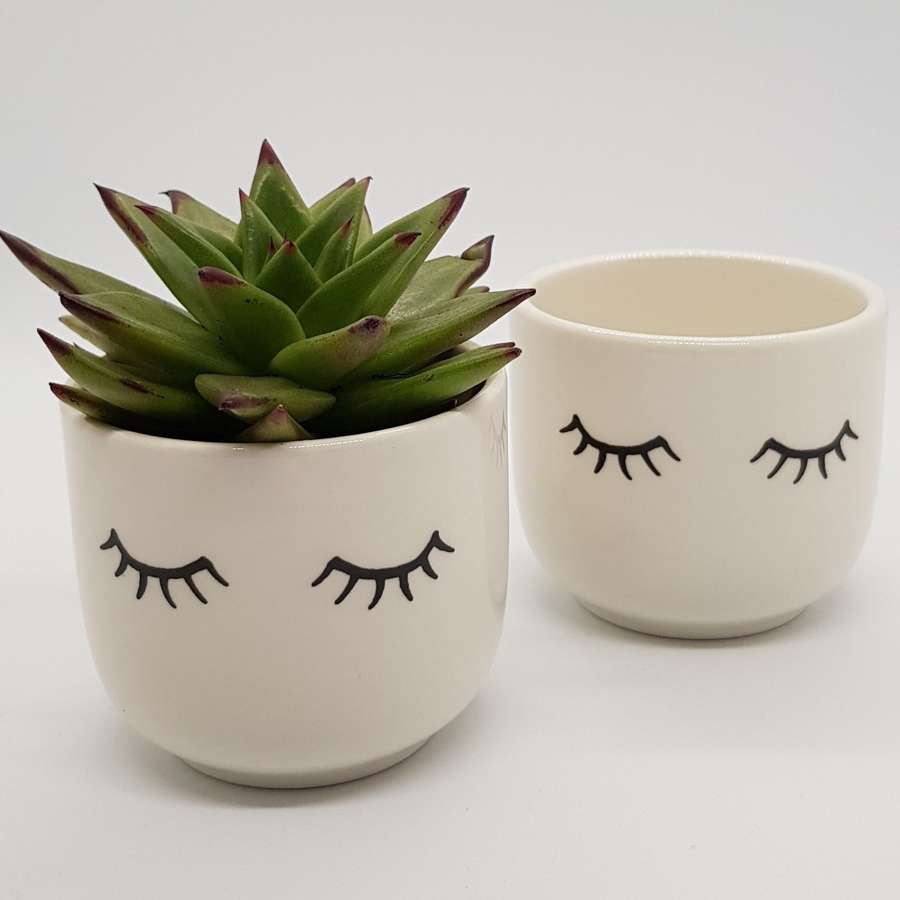 Mini planter with eyelashes