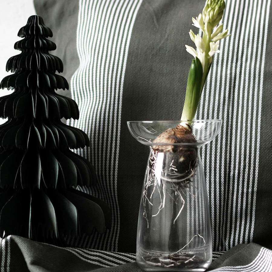 Glass bulb vase: